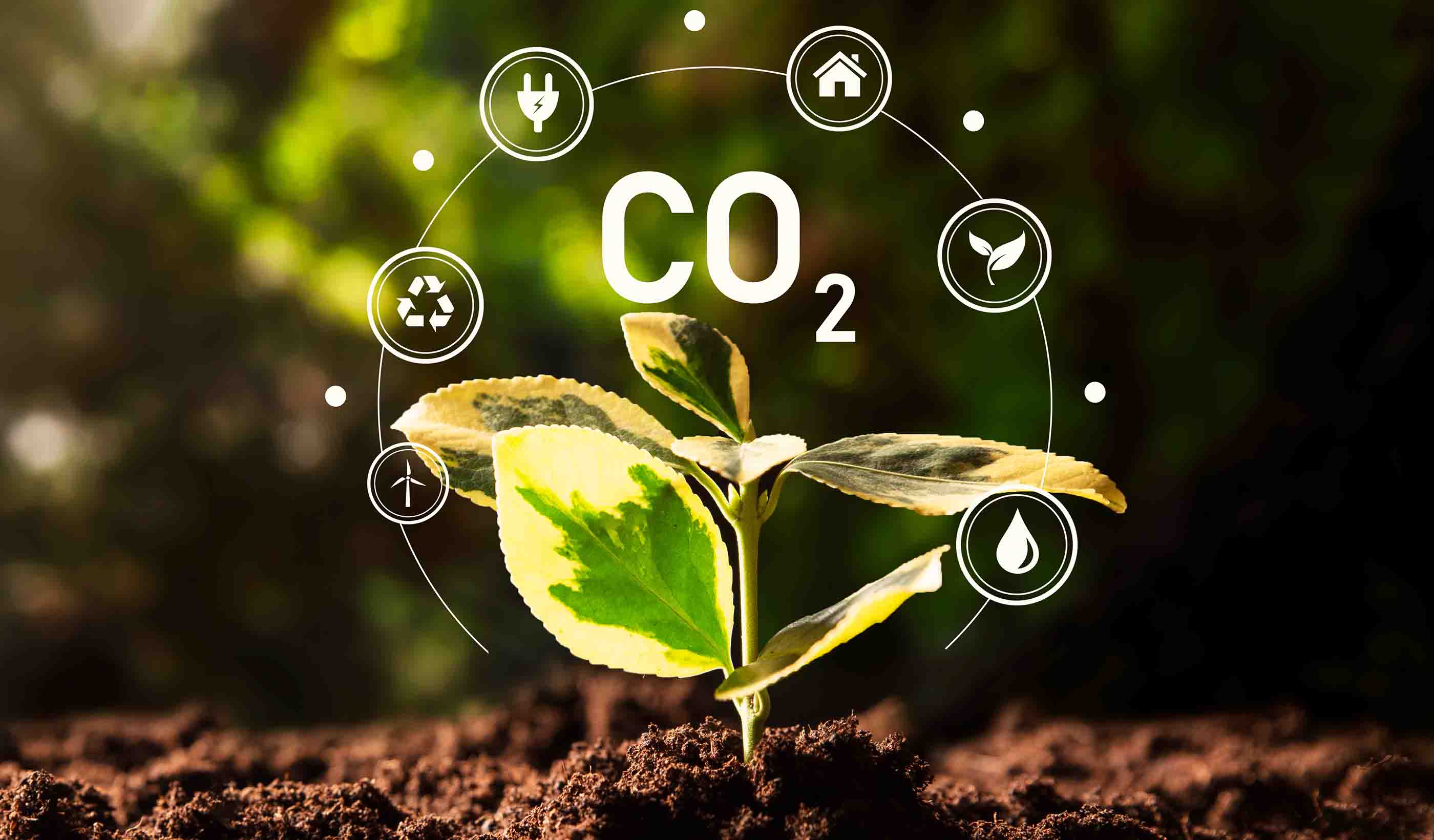 Innovative Insights: The Decarbonization Episode