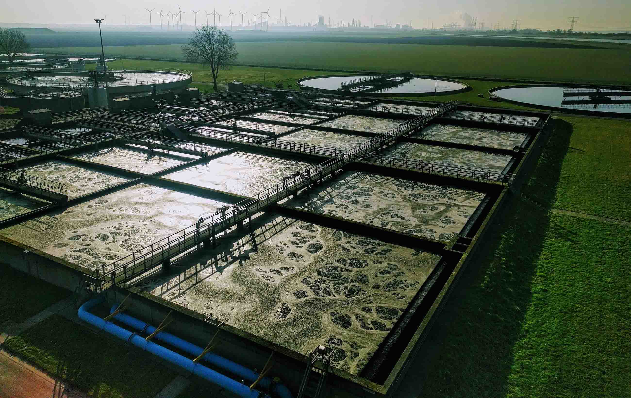 Onze projecten