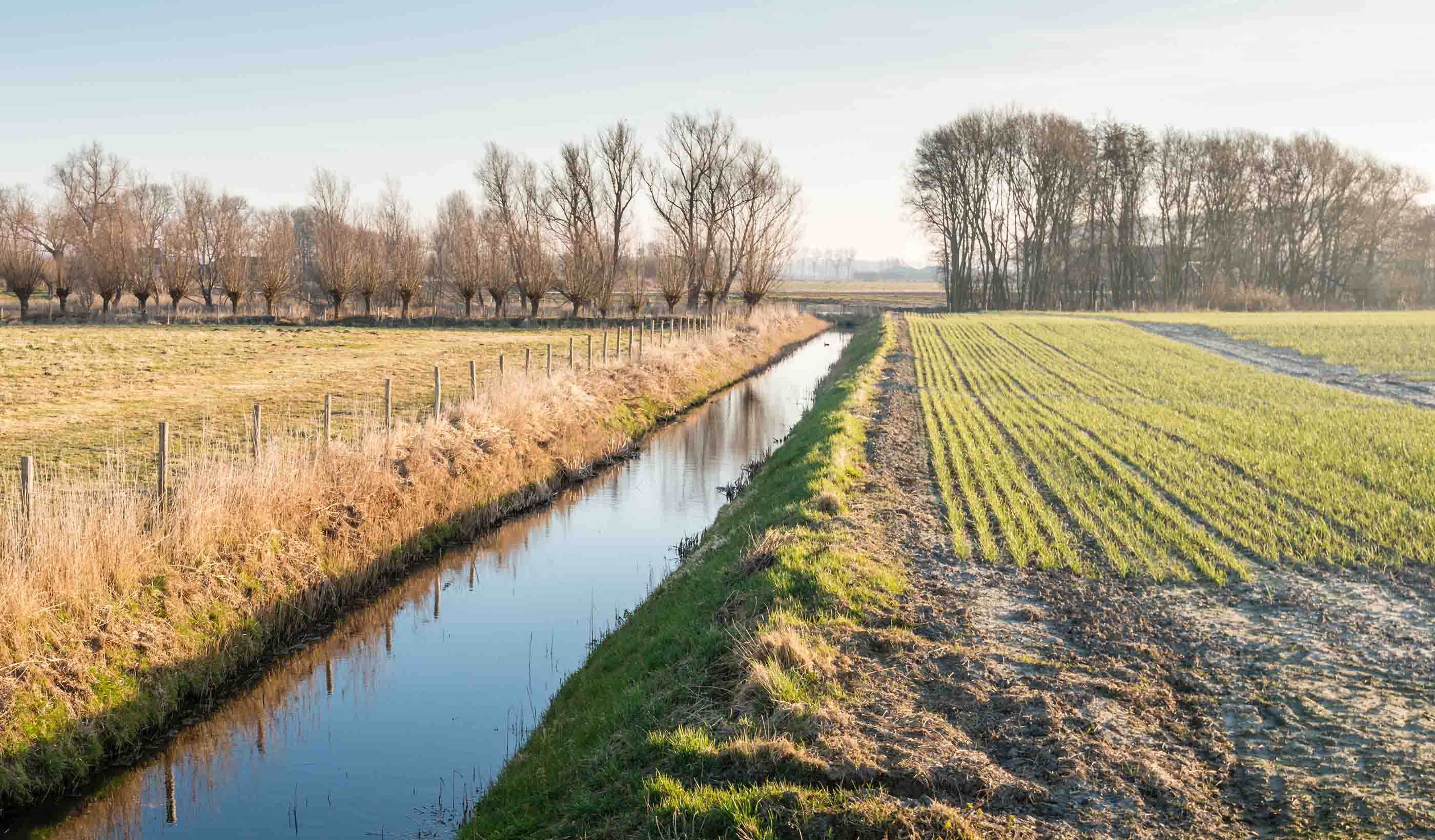 Onze projecten